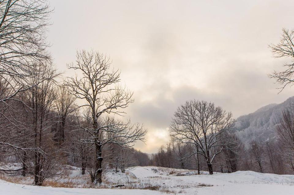 Ski Complex Velikiy Kalyny 외부 사진